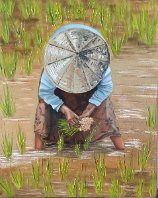 Laura Caretta Painter - 128 Rice field - 2020 - oil 60x75